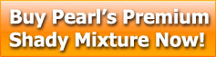 buy pearl premium shady mixture