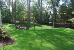 New Lawn After Just 3 Weeks!