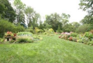 Lawn and Garden Bliss