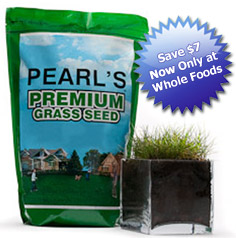 pearls premium grass seed