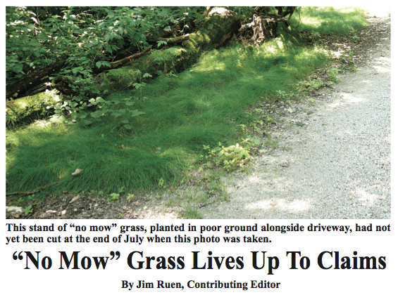 No Mow Grass Lives Up To Claims Farm Show Magazine Lawn And Grass Seed For Ultra Low Maintenance Lawns Pearl S Premium