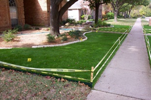 Shady lawn in Dallas, Texas