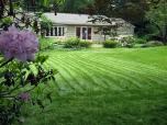 This lawn is cut once a month one average; its cut high with a sharp blade and mulched